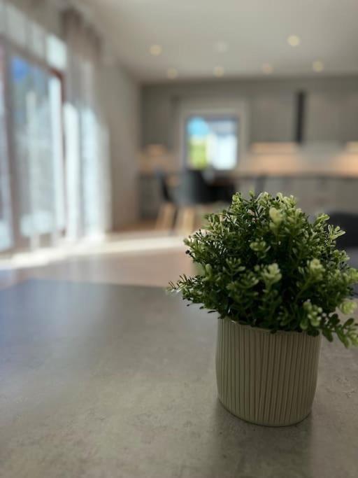 Laegenheter Vallersgatan Visby Ngoại thất bức ảnh